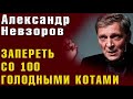 Невзоров: возвращение продуктовых карточек, назад в СССР, война с рэперами и истязание кота