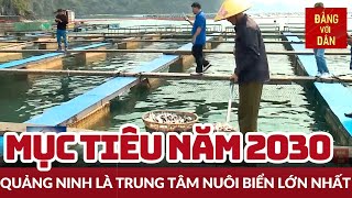 Phát triển nuôi trồng thủy sản toàn diện theo hướng hiện đại | Đảng với Dân