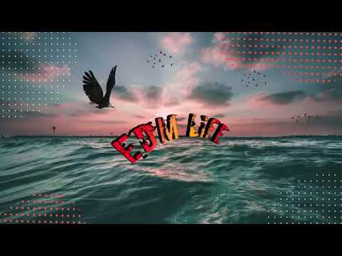 Reggae Luciano CDs   Melô de Carla Cintia Reggae Remix Lyric Video360p1