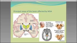 MSA  Problems and Solutions