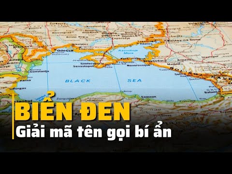 Video: Bờ Biển Đen của Caucasus - động thực vật