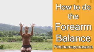 How to Do the Forearm Balance - Ashtanga  Pinchamayurasana 