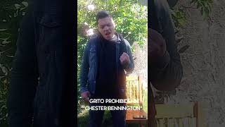escucha este grito de "chester Bennington" o banda Argentina emergente? #chesterbennington #lp #140
