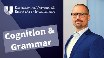 Construction Grammar: 6. Language acquisition