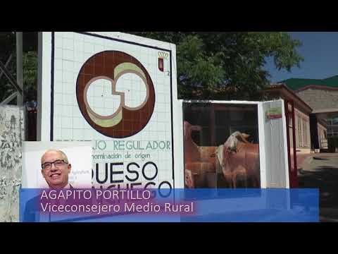 Queso Manchego DO Producto Representativo CLM Noticia Informativos 16/08/2021