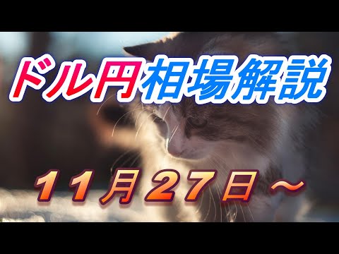 【TAKA FX】ドル円為替相場の今週の動きと来週の展望をチャートから解説。日経平均、NYダウ、金チャートも。11月13日～