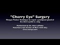 Morgan pocket technique to repair a cherry eye in a dog