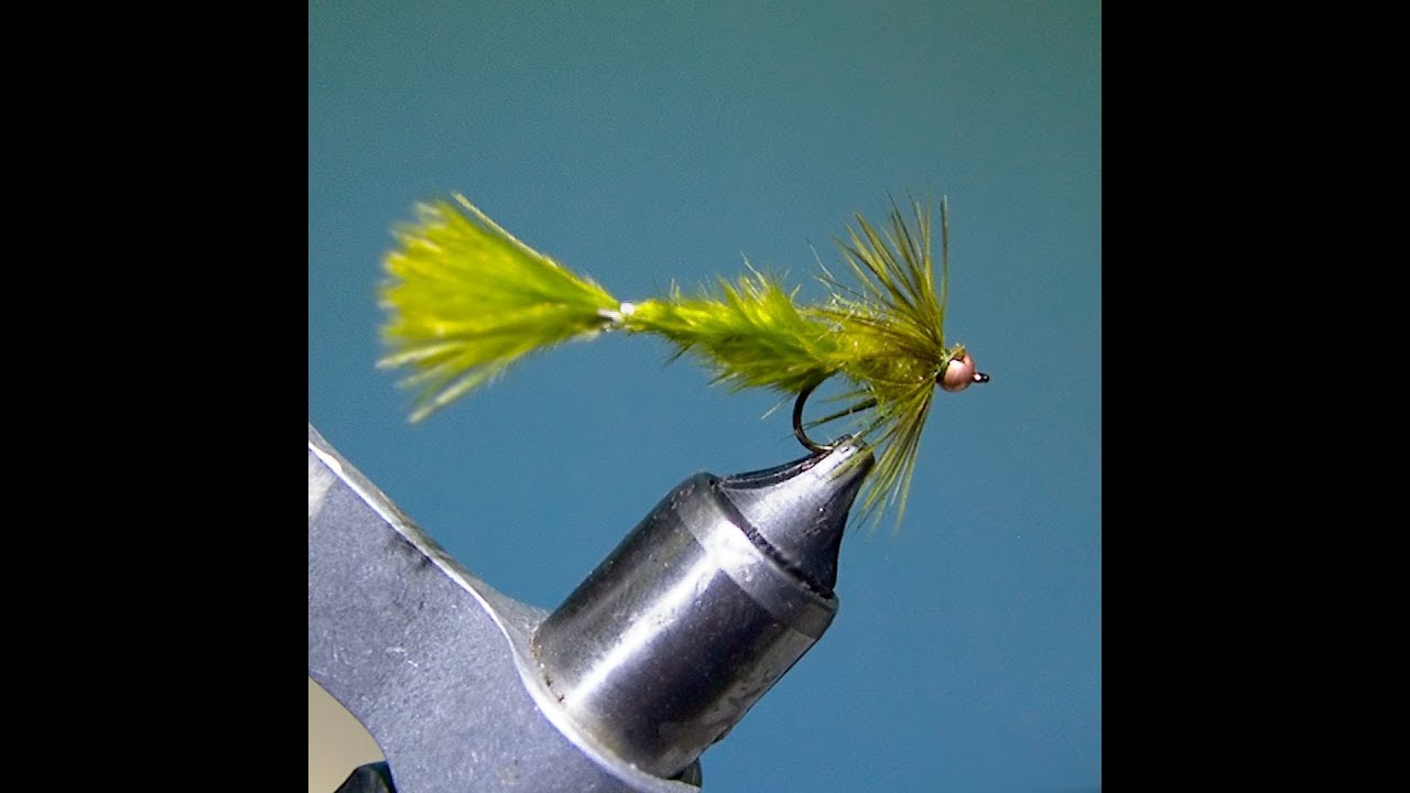 Fly of the Month - Izaak Walton Fly Fishing Club