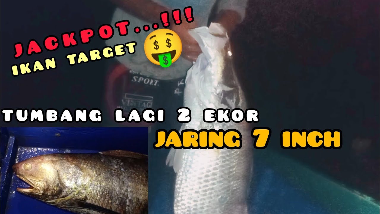 dua hari-mencari ikan besar,menggunakan jaring 7 inch