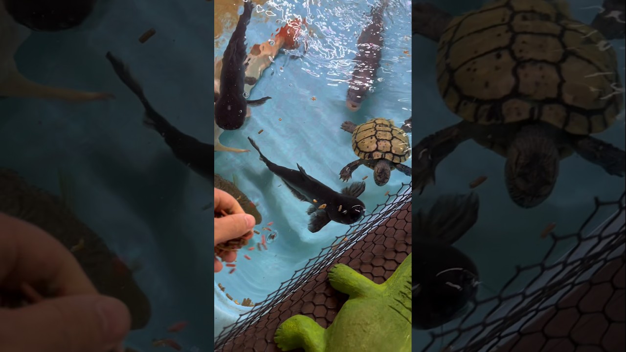 Refeição em Família com as Rações OceanTech