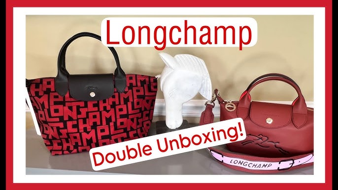 LONGCHAMP LE PLIAGE TOTE SMALL VS MEDIUM👜 comparing styles, sizes & what  fits inside