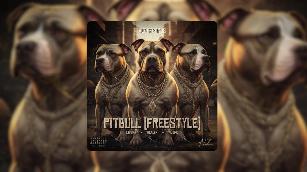 al7-records-pitbull-freestyle-livera-realwk-rl-ofc-visualizer