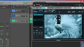 #6 Sampling with Alchemy and Sample Alchemy in Logic Pro