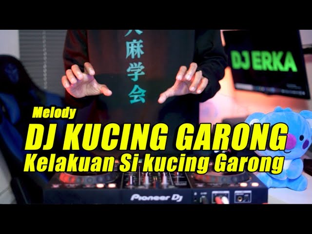 DJ MELODY KUCING GARONG VIRAL TIKTOK | KELAKUAN SI KUCING GARONG REMIX TERBARU 2022 class=