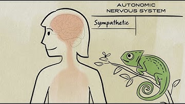 Citizen Brain: "Othering & Belonging"