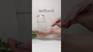〔おうち実験!ふしぎな水〕#ショート動画 #ショート#おうち遊び #実験#手品#マジック #magic