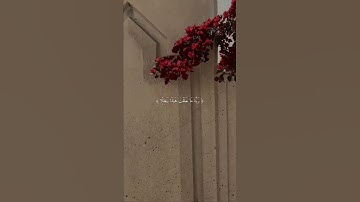 أرح سمعك 🥀القارئ: ناصر القطامي 🍃حالات واتس