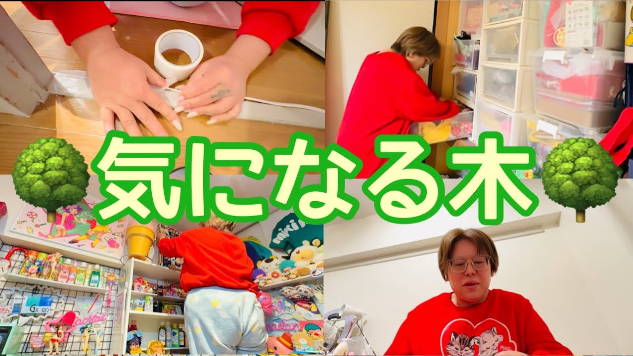 【vlog】気になることが多すぎる！