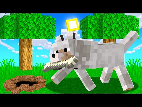 Minecraft Kopek Mp3 Mp4 Indir Dur