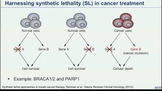 Modeling Mutational Patterns in Tumor Genomic Data