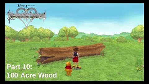 Kingdom Hearts: Re:Chain of Memories (PS4) (HD 1.5 + 2.5 ReMIX) Part 10: "100 Acre Wood"