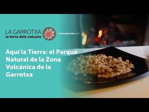 Vídeo: Fets De La Vida Culinària Que Faciliten La Cuina