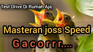Kecial Kuning Joss....Superr Speed