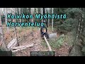 Mukavaa Koivikon Harvennusta Perjantain Ratoksi. VR12. Ponsse Scorpion K AC New H7 2025