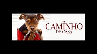 🎬A Caminho De Casa Filme Completo Dublado 2019 Drama, Aventura Familiar