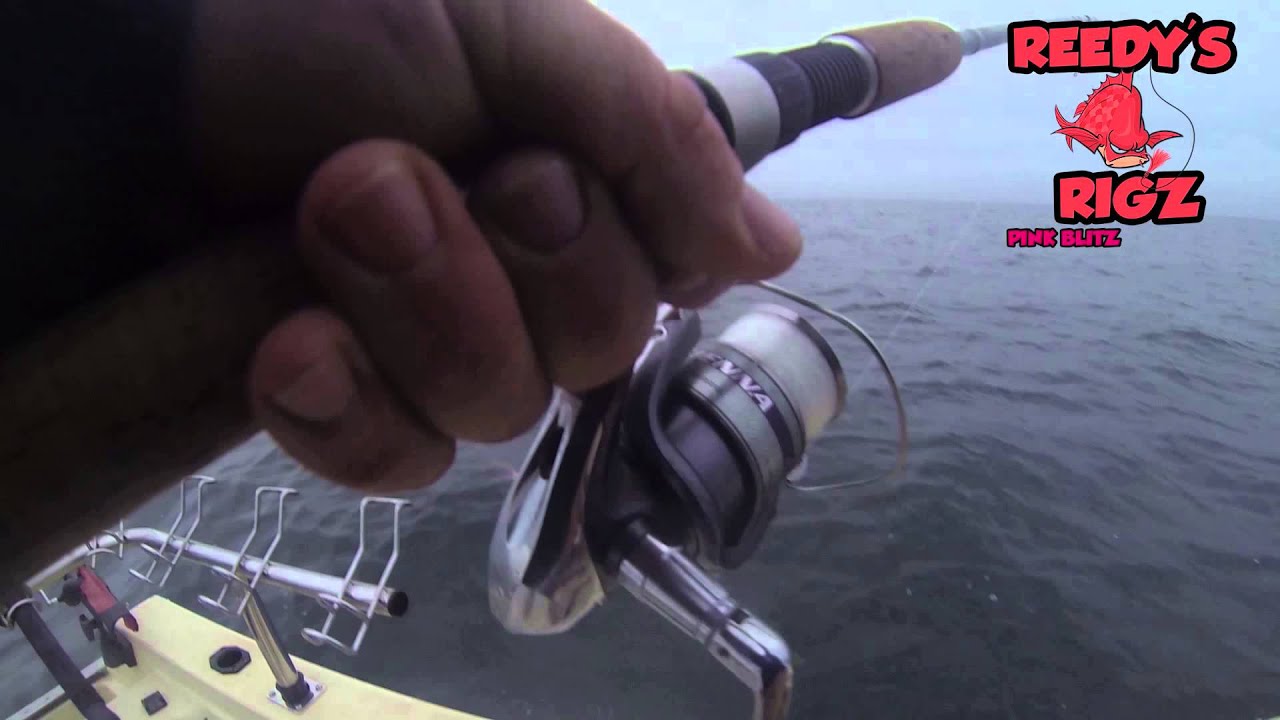 Reef Snapper Rigs SNAPPER SNATCHER RIGS 50 40 30 5 PACK REEF FISHING Reedy's Rigz - YouTube
