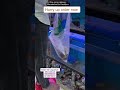 Order now #megaquarium #fish #exoticaquariumfish #fishtank