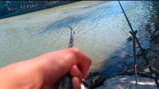 carpa fishing