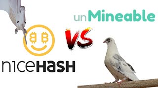 CPU Mining Nicehash vs Unmineable