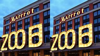 Marriott Hotel Financial Communications 2025