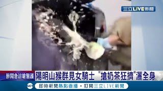 真的是猴子... 女騎士駕車行經陽明山 竟遭猴子搶奶茶噴得全身都是! 獼猴出沒熱點曝光 治本法應避免餵野生動物│記者 沈宛儀 郭翊軒│【54萌寵來當家】20211002│三立新聞台