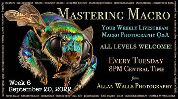 Mastering Macro Photography - Week 6- 9/20/22