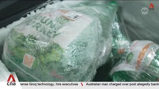 Download Lagu Malaysia imports halal-certified turkeys from Russia MP3