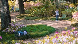 KP - So Real ft. Yung E Net Worth