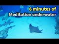 Meditation undewater 6 minutes. Aquarium with fish &amp; The Best Relaxing Music. Медитация 6 минут