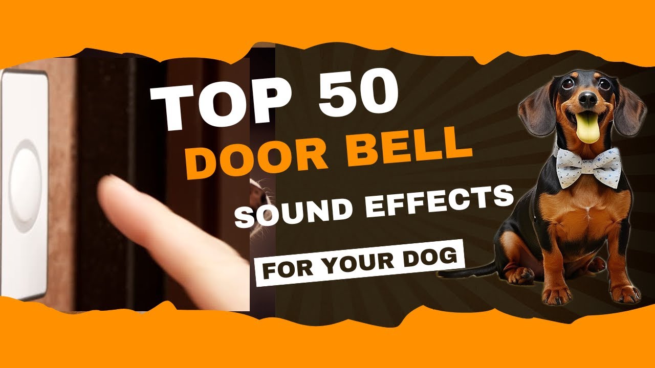 Top 50 Doorbell Sound Effects! Perfect sounds for trolling your dog