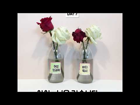예지미인 여성청결제 순해요 TEST