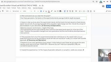Lizard Module 2 & 3 Key