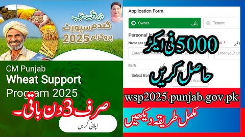 CM Punjab Gandum/ Wheat Support Program 2025 Pe Apply Karny Ka Tareeka