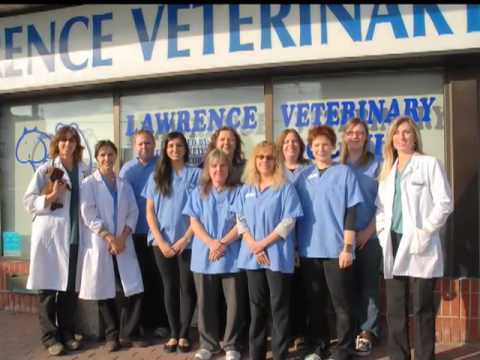 Final Lawrence Veterinary Clinic