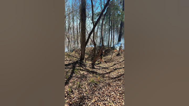 Outta control fire in our woods