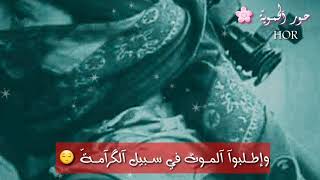 استميتوا هبوا الجحيم اضطراما / اناشيد جهادية حماسية / حالات جهادية / اناشيد اسلامية / حزينة / حماس /