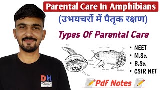 Parental Care In Amphibians || Types Of Parental Care || Amphibian || By Dadhich Sir