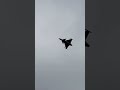 Gripen Loitering Slow Tail Slide Saab JAS 39C Czech Air Force Display