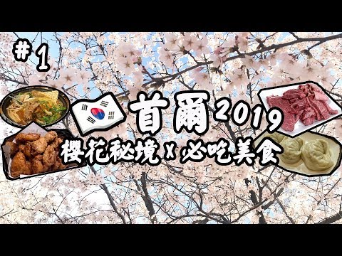 【韓國首爾🇰🇷2019】櫻花🌸 美食😋馬場洞1++韓牛燒肉、神仙雪濃湯、橋村炸雞 | 自由行旅遊攻略