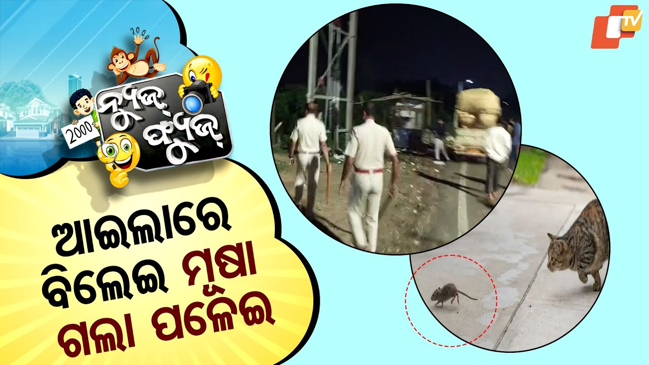 News Fuse 04 JUNE 2025